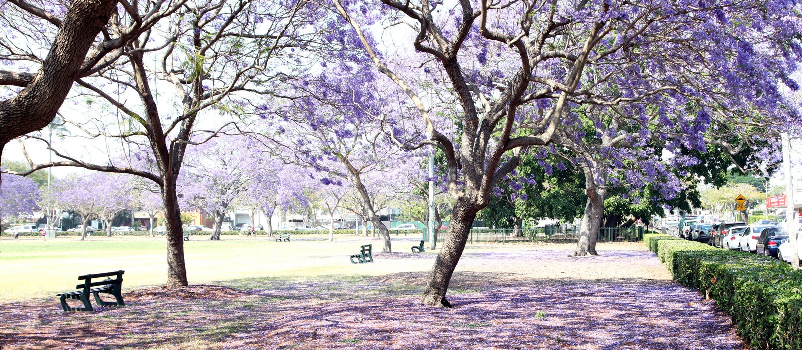 Leichhardt