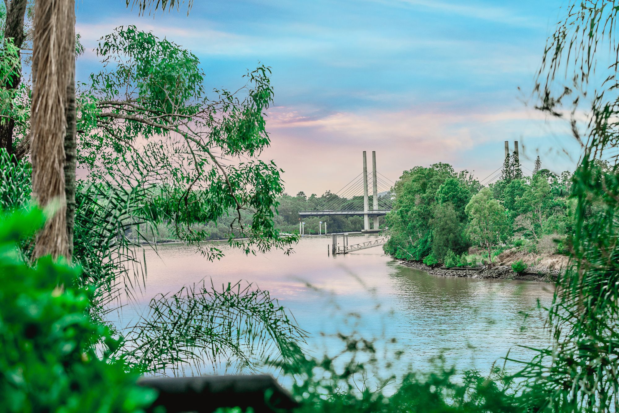 Brisbane Sales Market Update purerealestategroup