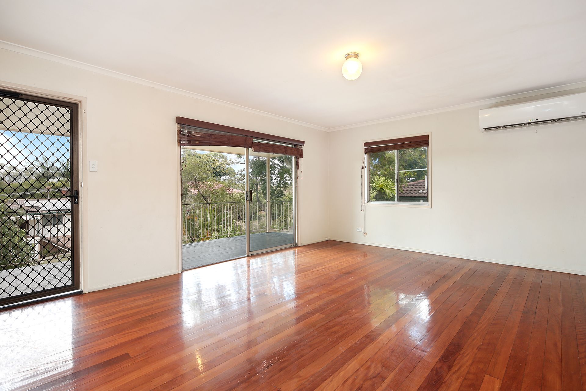 8 Ardisia Street Purerealestategroup